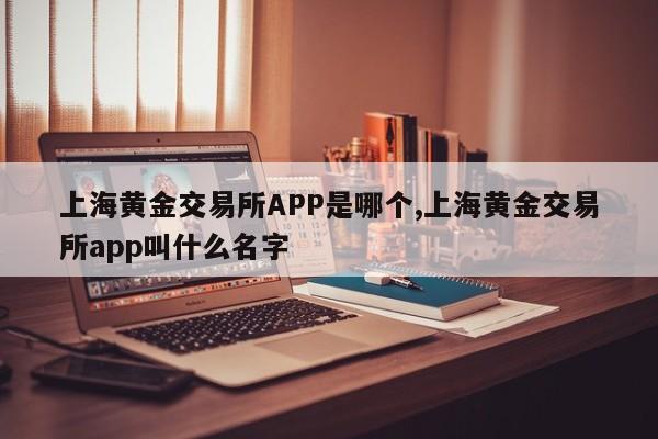 上海黄金交易所APP是哪个,上海黄金交易所app叫什么名字