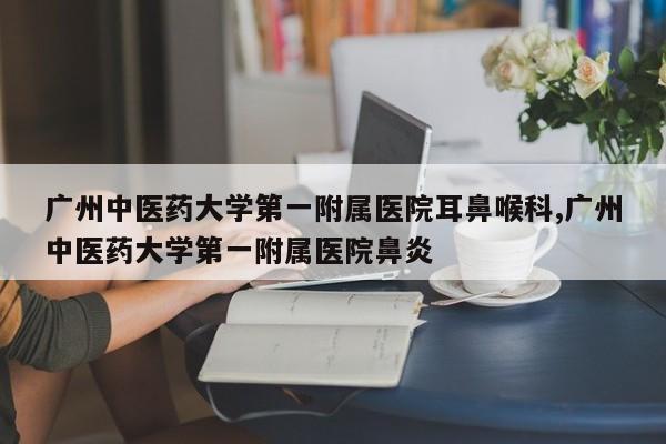 广州中医药大学第一附属医院耳鼻喉科,广州中医药大学第一附属医院鼻炎