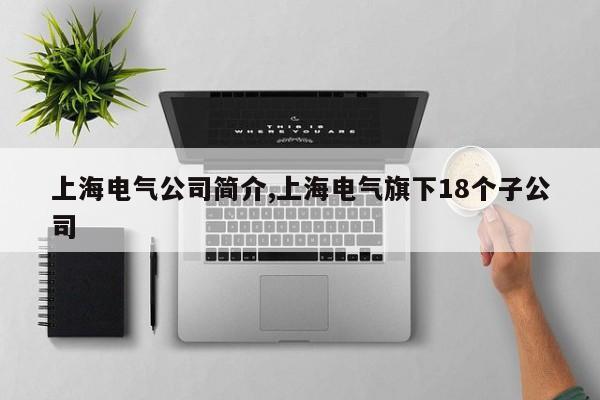 上海电气公司简介,上海电气旗下18个子公司