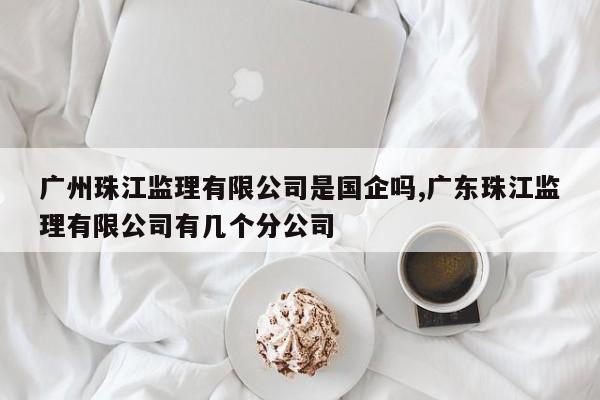 广州珠江监理有限公司是国企吗,广东珠江监理有限公司有几个分公司